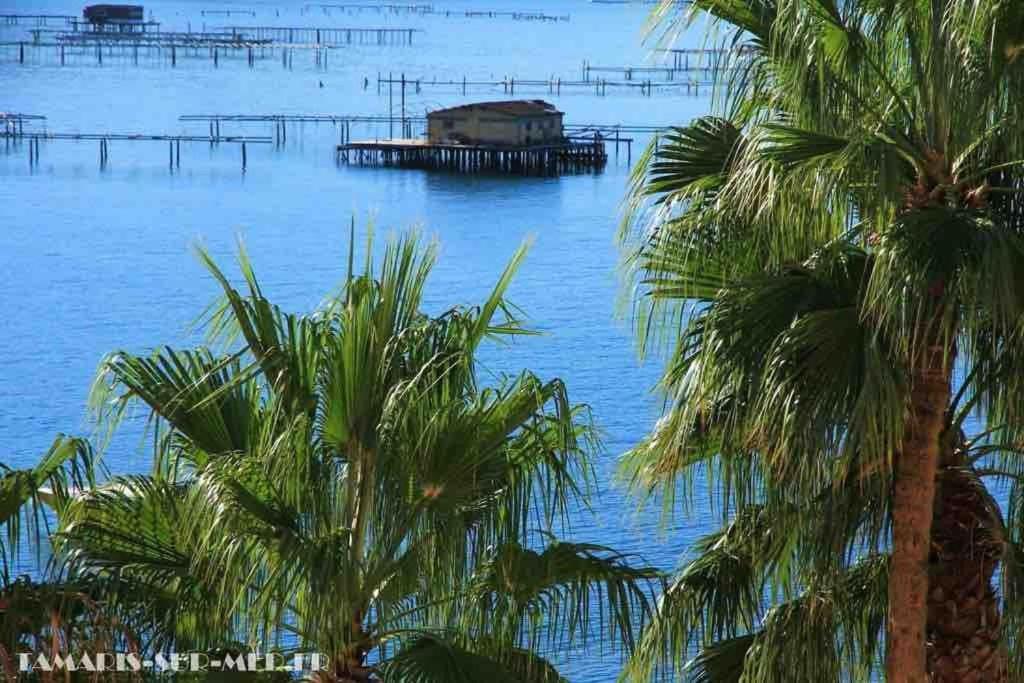 Apartmán Les Pieds Dans L'Eau La Seyne-sur-Mer Exteriér fotografie